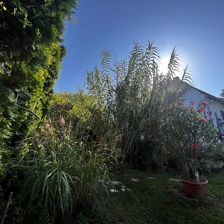 Angel Mansion * Szentantalfa